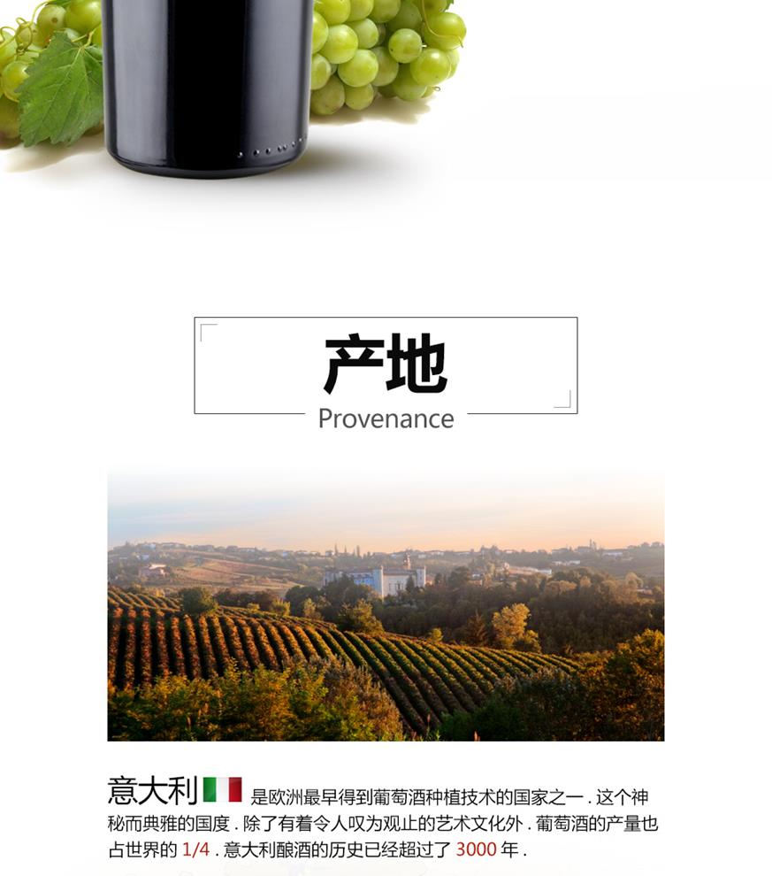 詳情_坎普盧斯_B_1_02