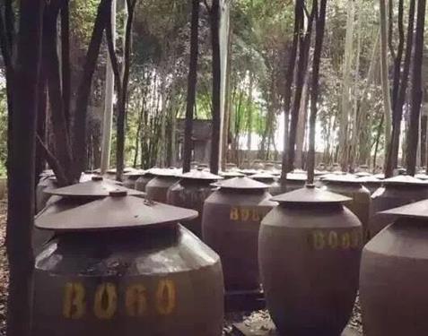 QQ圖片20171121100032