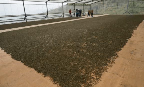 C19E62E67D682303C18B7F58F63132F7