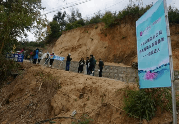 F211779949757E75A06710659698CB02