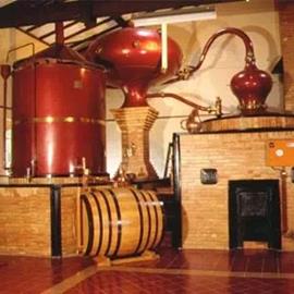 C978E5A89A3A6B72349C19F9E70AF28E