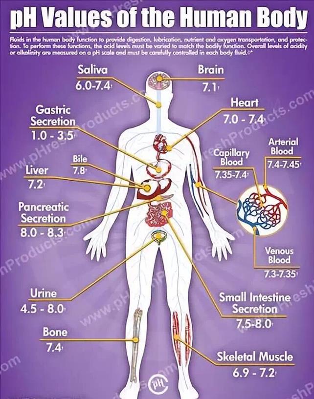 QQ圖片20181130104826
